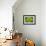 Mykonos, Greece, succulent plant-Julien McRoberts-Framed Photographic Print displayed on a wall