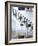 Mykonos, Greece-Julian McRoberts-Framed Photographic Print