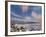 Mykonos Harbor at Sunset, Mykonos, Greece-Adam Jones-Framed Photographic Print