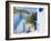 Mykonos (Hora), Cyclades Islands, Greece, Europe-Gavin Hellier-Framed Photographic Print