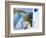 Mykonos (Hora), Cyclades Islands, Greece, Europe-Gavin Hellier-Framed Photographic Print