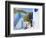 Mykonos (Hora), Cyclades Islands, Greece, Europe-Gavin Hellier-Framed Photographic Print