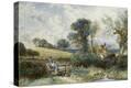 Stretched Canvas Print