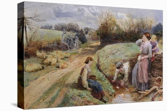 Stretched Canvas Print, , large