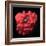 Myoglobin Molecule-Visual Science-Framed Premium Photographic Print