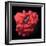 Myoglobin Molecule-Visual Science-Framed Premium Photographic Print