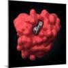 Myoglobin Molecule-Visual Science-Mounted Premium Photographic Print