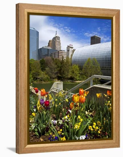 Myriad Botanical Gardens, Downtown Oklahoma City, Oklahoma, United States of America, North America-Richard Cummins-Framed Premier Image Canvas