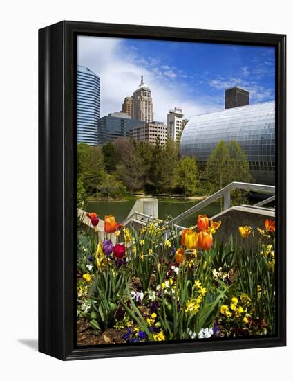 Myriad Botanical Gardens, Downtown Oklahoma City, Oklahoma, United States of America, North America-Richard Cummins-Framed Premier Image Canvas