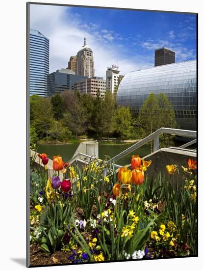 Myriad Botanical Gardens, Downtown Oklahoma City, Oklahoma, United States of America, North America-Richard Cummins-Mounted Photographic Print