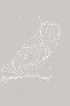 Day Owl-Myriam Tebbakha-Giclee Print