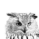Forest Focus - Owl-Myriam Tebbakha-Giclee Print