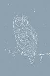 Night Owl-Myriam Tebbakha-Giclee Print