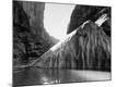 Photographic Print