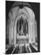Premium Photographic Print