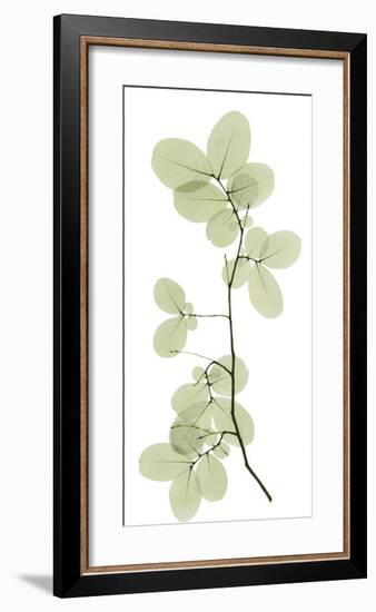 Myrtle Tree-Acee-Framed Giclee Print