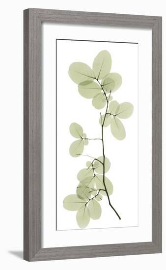 Myrtle Tree-Acee-Framed Giclee Print