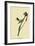 Myrtle Warbler-John James Audubon-Framed Giclee Print