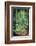 Mysterious Dark Forest near Rzeszow, Poland-mffoto-Framed Photographic Print