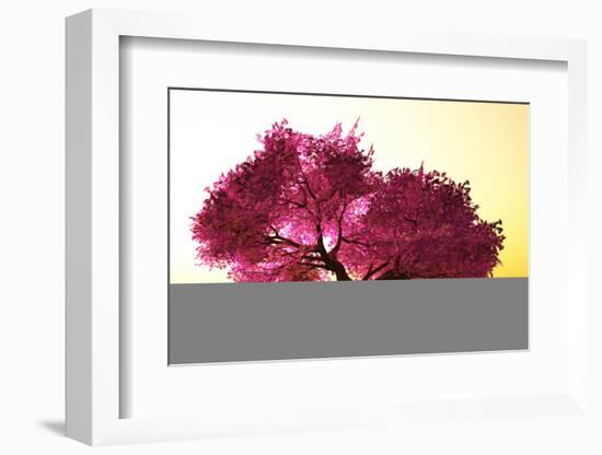 Mysterious Japanese Cherry Blossom Tree Sakura 3D Render-boscorelli-Framed Photographic Print