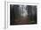 Mysterious Pathway-Andreas Stridsberg-Framed Giclee Print