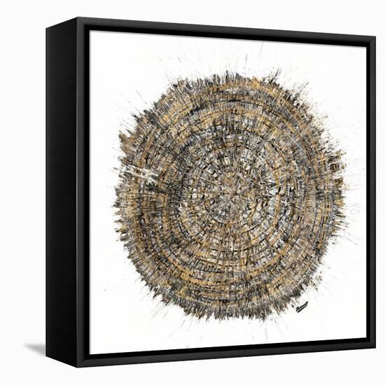 Mysterious Tree Ring-Roberto Gonzalez-Framed Stretched Canvas