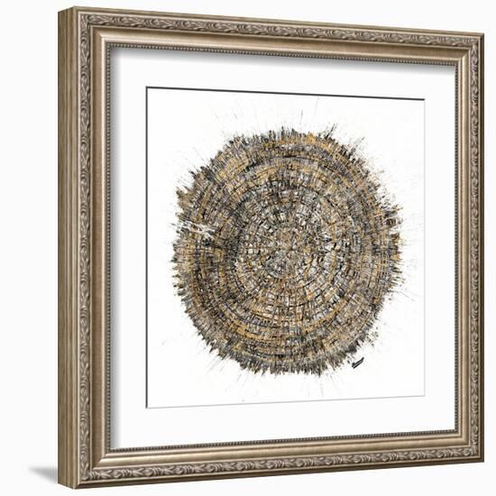 Mysterious Tree Ring-Roberto Gonzalez-Framed Art Print