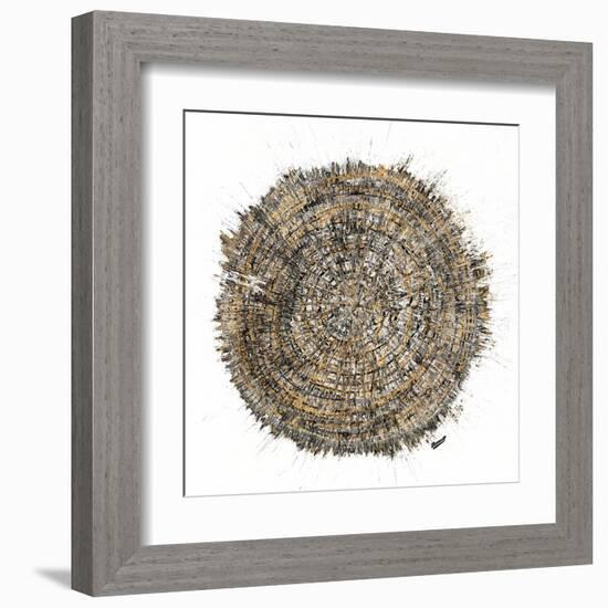 Mysterious Tree Ring-Roberto Gonzalez-Framed Art Print