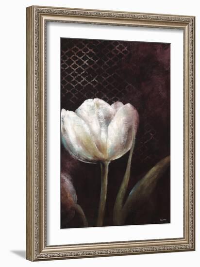 Mysterious Tulip-Rikki Drotar-Framed Giclee Print