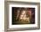 Mysterious Wood-Philippe Sainte-Laudy-Framed Photographic Print