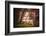 Mysterious Wood-Philippe Sainte-Laudy-Framed Photographic Print