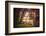 Mysterious Wood-Philippe Sainte-Laudy-Framed Photographic Print