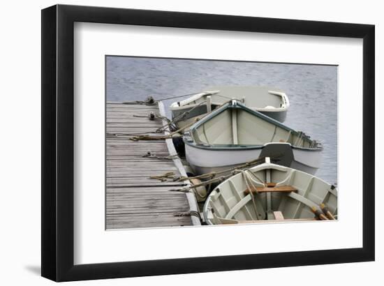 Mystic 1-Stephen Gassman-Framed Art Print