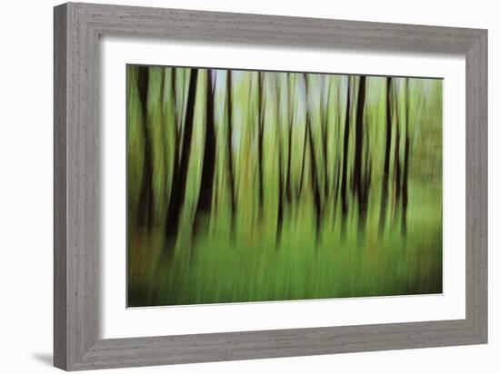 Mystic Forest 0921-Rica Belna-Framed Giclee Print