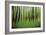 Mystic Forest 0921-Rica Belna-Framed Giclee Print