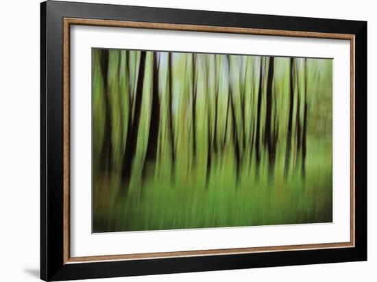 Mystic Forest 0921-Rica Belna-Framed Giclee Print