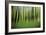 Mystic Forest 0921-Rica Belna-Framed Giclee Print