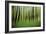 Mystic Forest 0921-Rica Belna-Framed Giclee Print