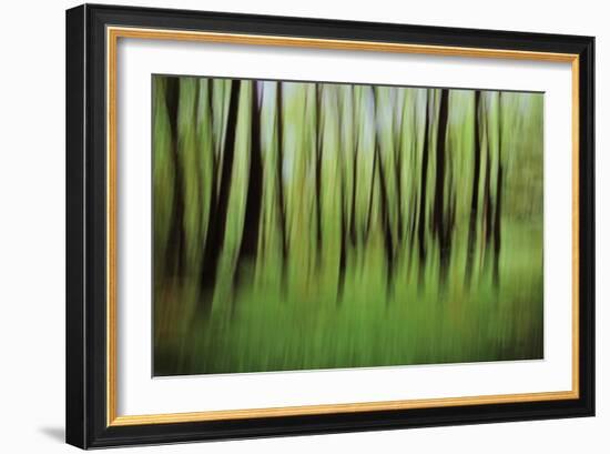 Mystic Forest 0921-Rica Belna-Framed Giclee Print