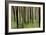 Mystic Forest 1251-Rica Belna-Framed Giclee Print