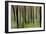 Mystic Forest 1251-Rica Belna-Framed Giclee Print