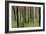 Mystic Forest 1251-Rica Belna-Framed Giclee Print