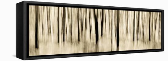 Mystic Forest 1252 Panoramic-Rica Belna-Framed Premier Image Canvas