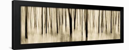 Mystic Forest 1252 Panoramic-Rica Belna-Framed Giclee Print