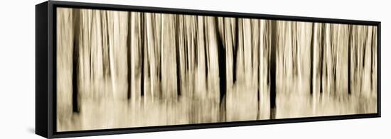 Mystic Forest 1252 Panoramic-Rica Belna-Framed Premier Image Canvas