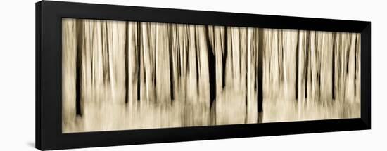 Mystic Forest 1252 Panoramic-Rica Belna-Framed Giclee Print