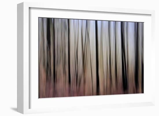 Mystic Forest 1270-Rica Belna-Framed Giclee Print