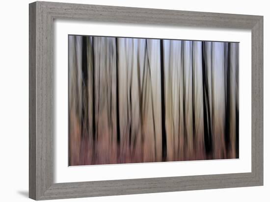 Mystic Forest 1270-Rica Belna-Framed Giclee Print