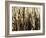 Mystic Forest 7963-Rica Belna-Framed Giclee Print