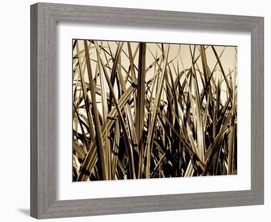 Mystic Forest 7963-Rica Belna-Framed Giclee Print